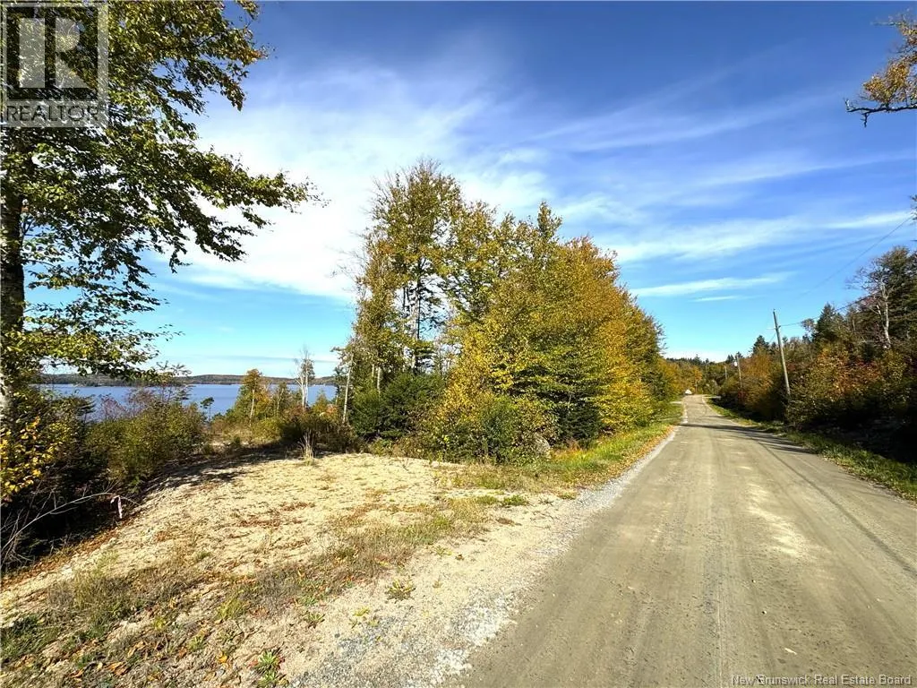 Bluff Road