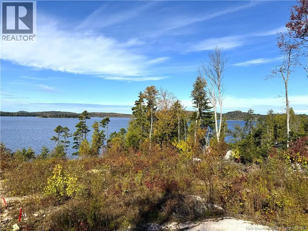 Bluff Road