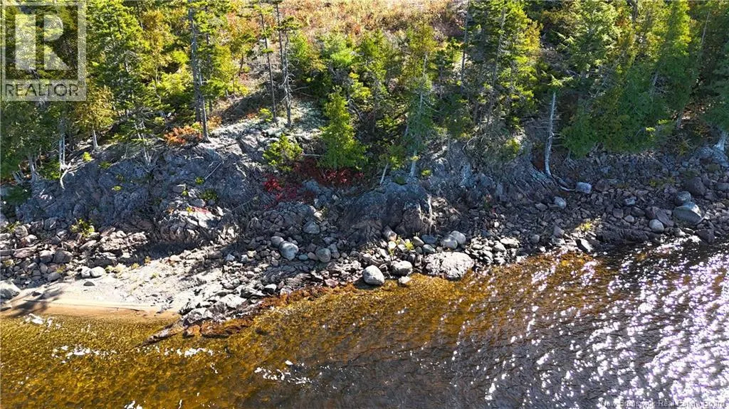 Bluff Road