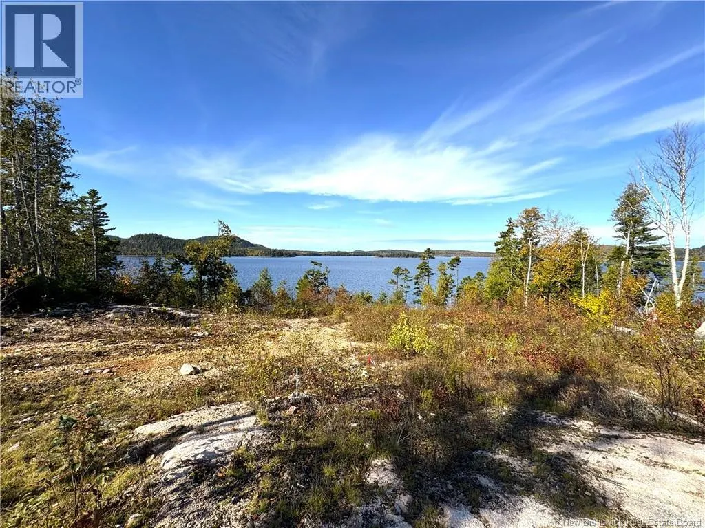 Bluff Road