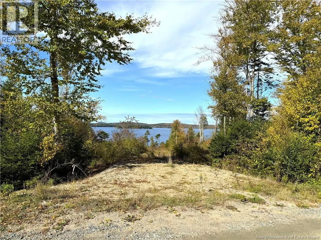 Bluff Road