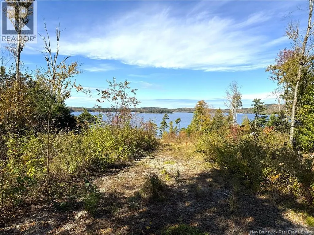 Bluff Road