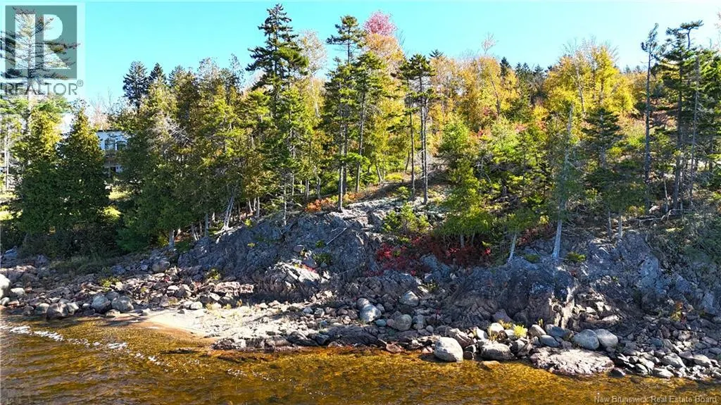 Bluff Road