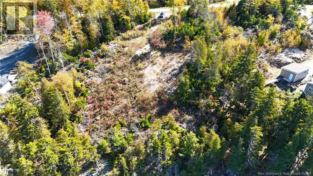 Bluff Road