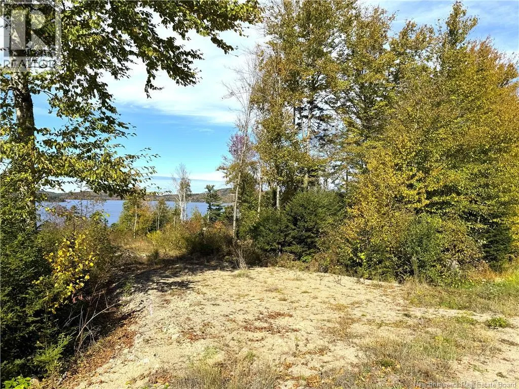 Bluff Road