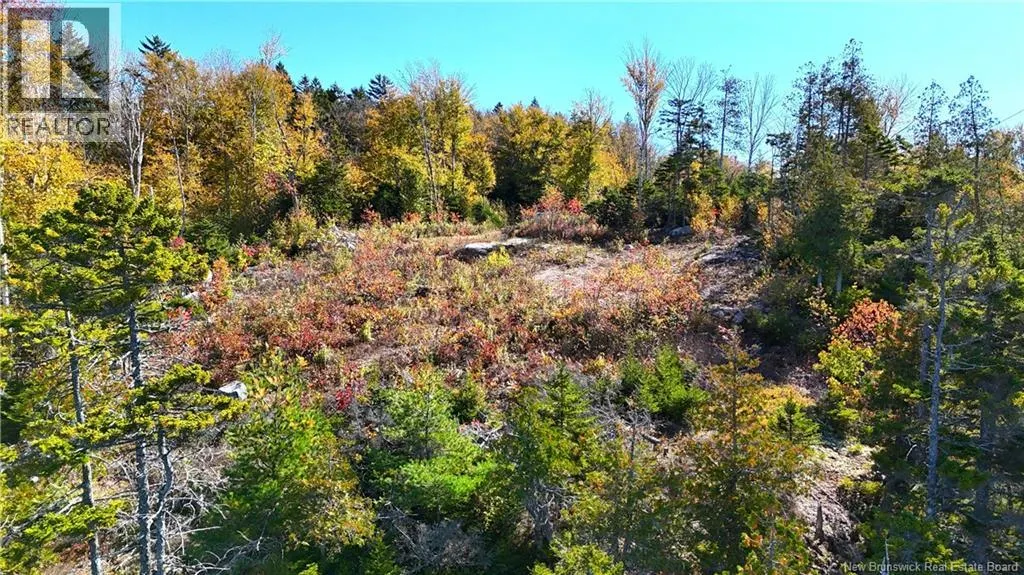 Bluff Road