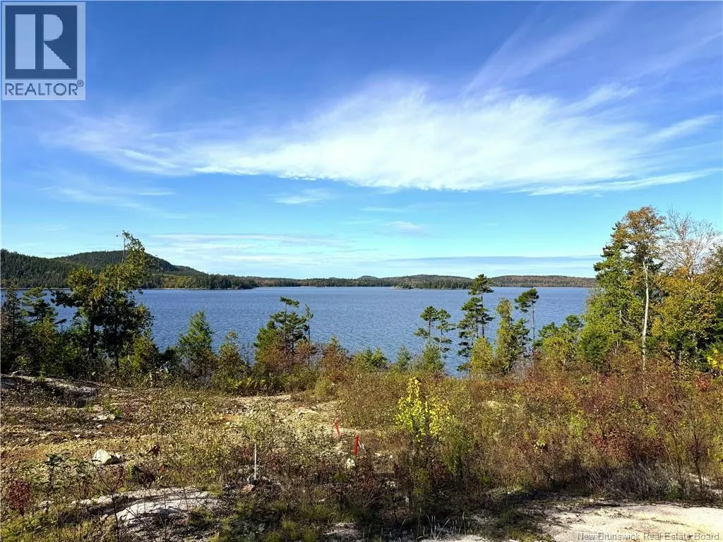 Bluff Road