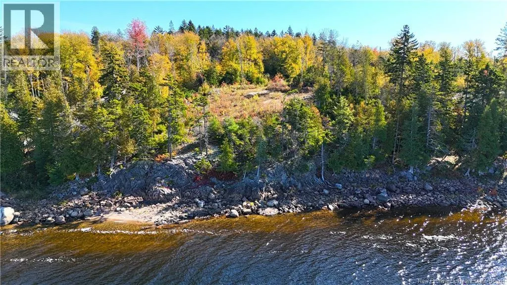 Bluff Road