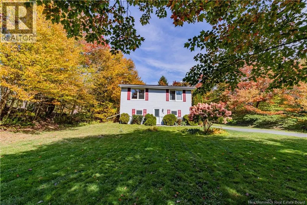 10 Birch Lane