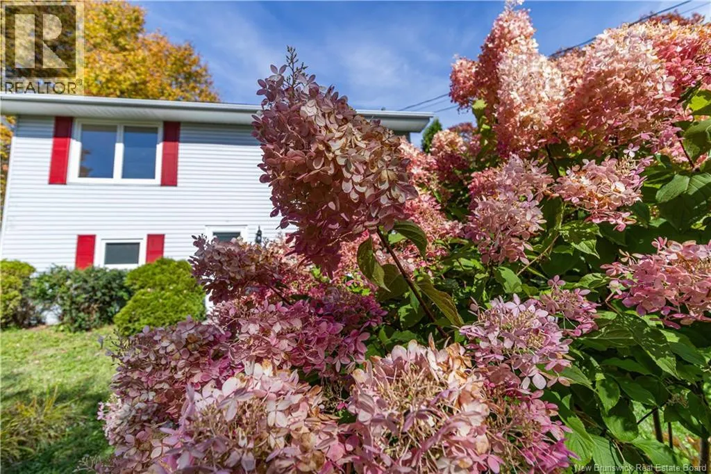 10 Birch Lane