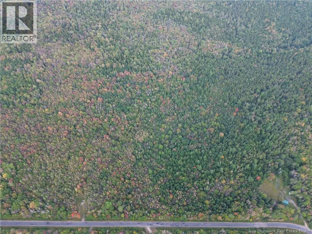 Lot 1 Bronson Settlement Road