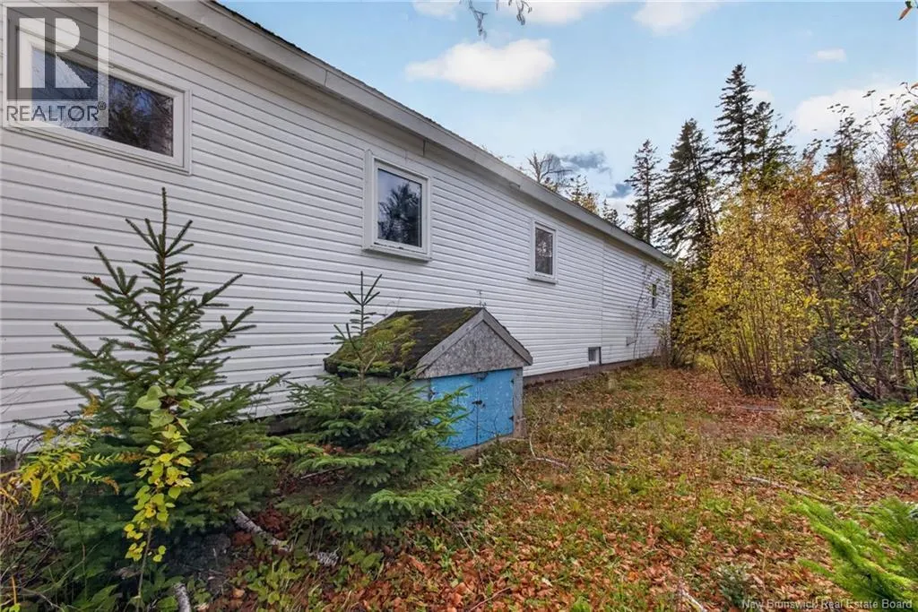 50 Woodland Boulevard