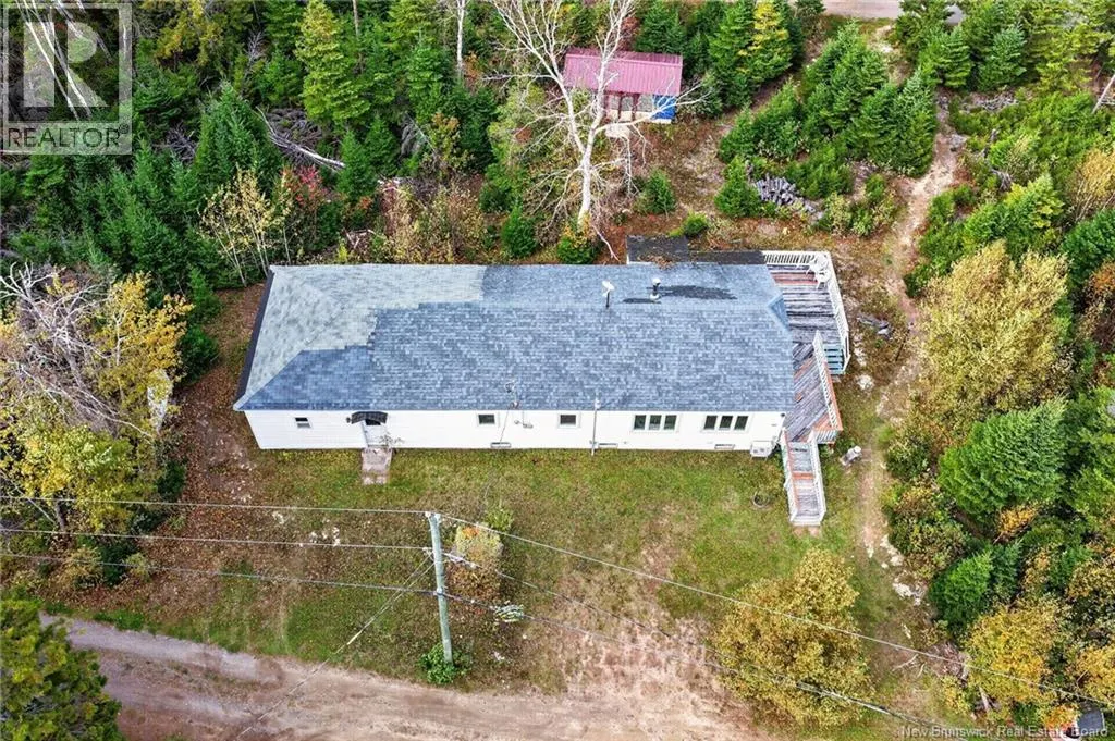 50 Woodland Boulevard