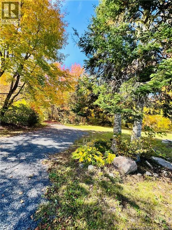 60 Mill Road Left Branch