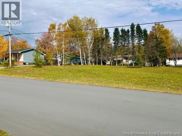 111 Tardy Avenue - Vacant Land