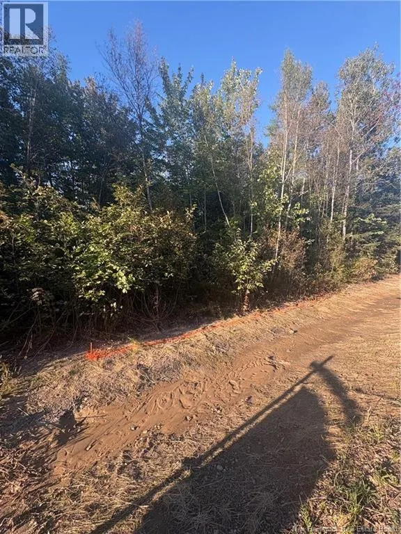 Lot Creek Road