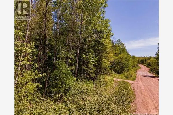 Lot Creek Road