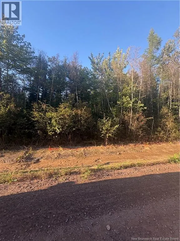 Lot Creek Road