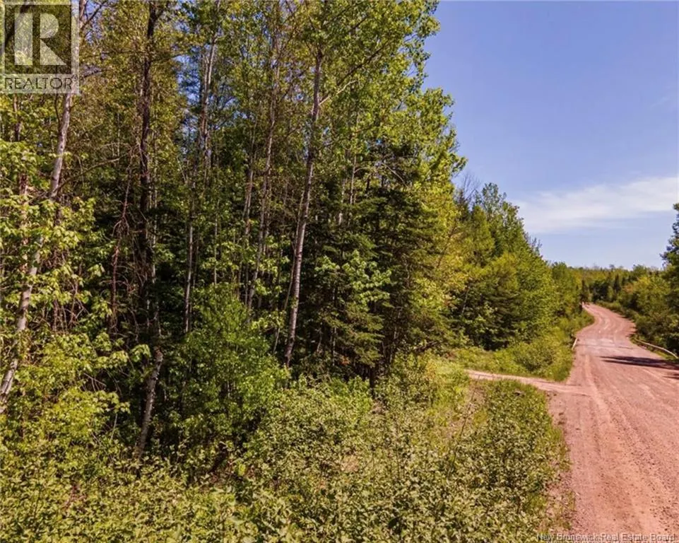 Lot Creek Road