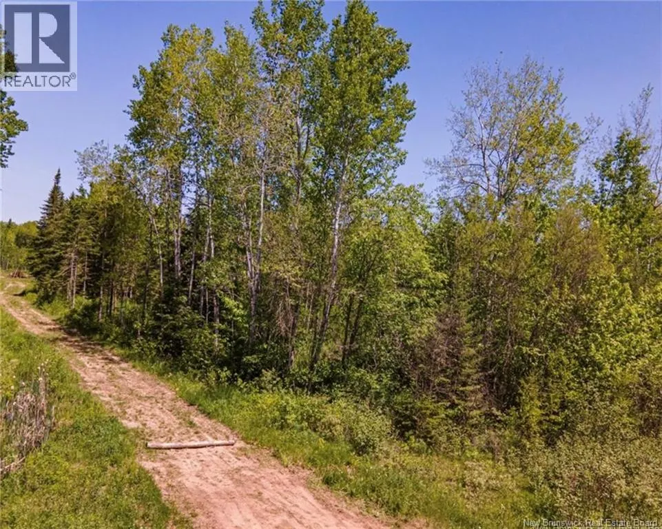 Lot Creek Road