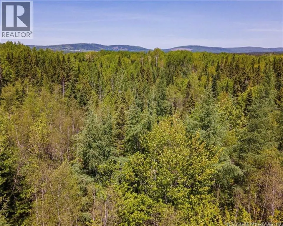Lot Creek Road