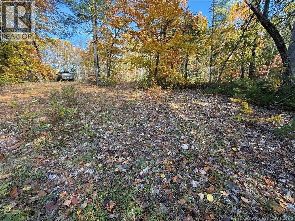 74 Barnes Point Road