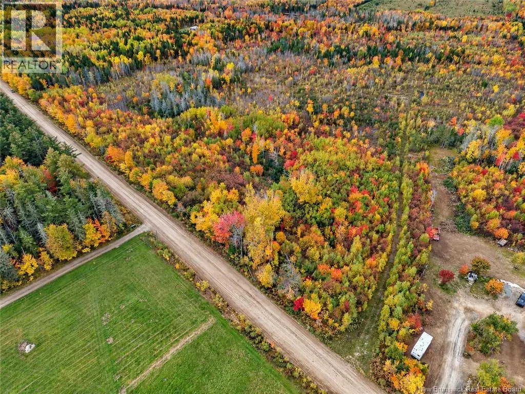 Lot 5 Tay Falls Road