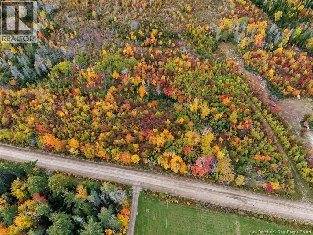 Lot 5 Tay Falls Road