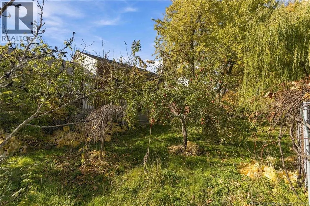 53 MacBeath Avenue