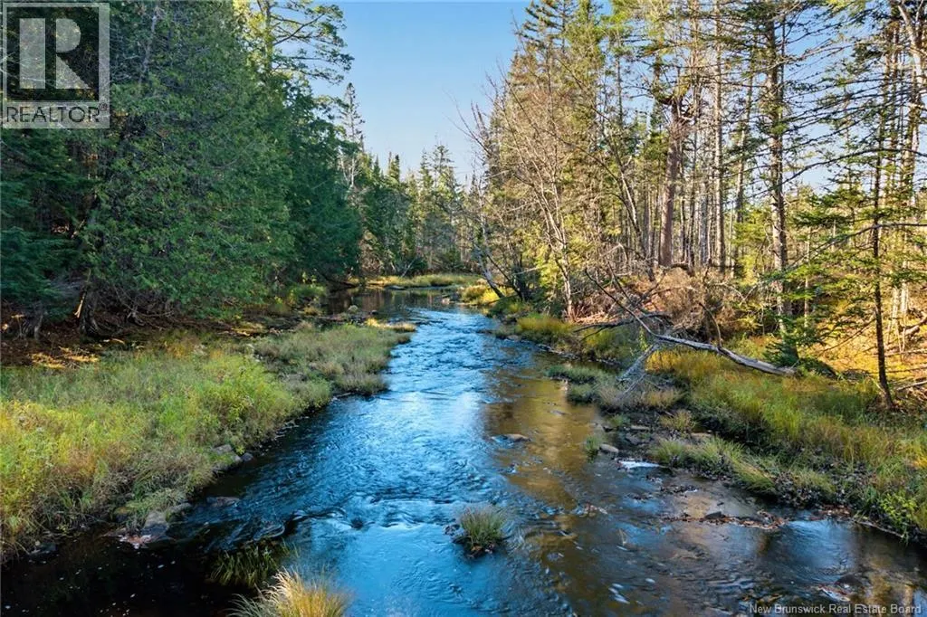 251 Cumberland Bay South RD