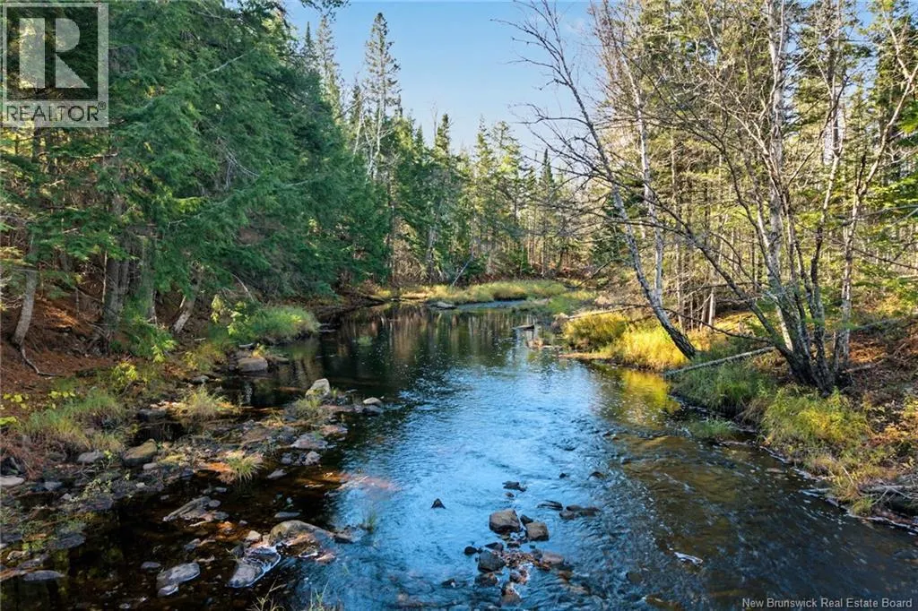 251 Cumberland Bay South RD