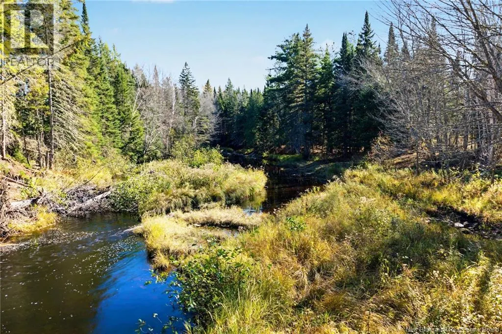 251 Cumberland Bay South RD