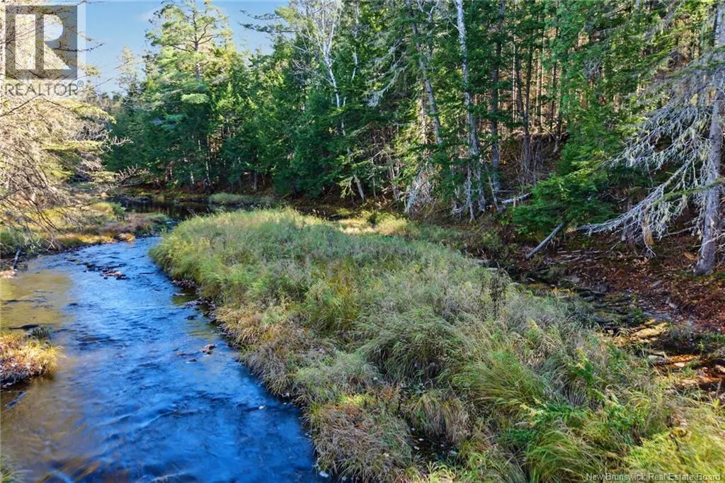251 Cumberland Bay South RD