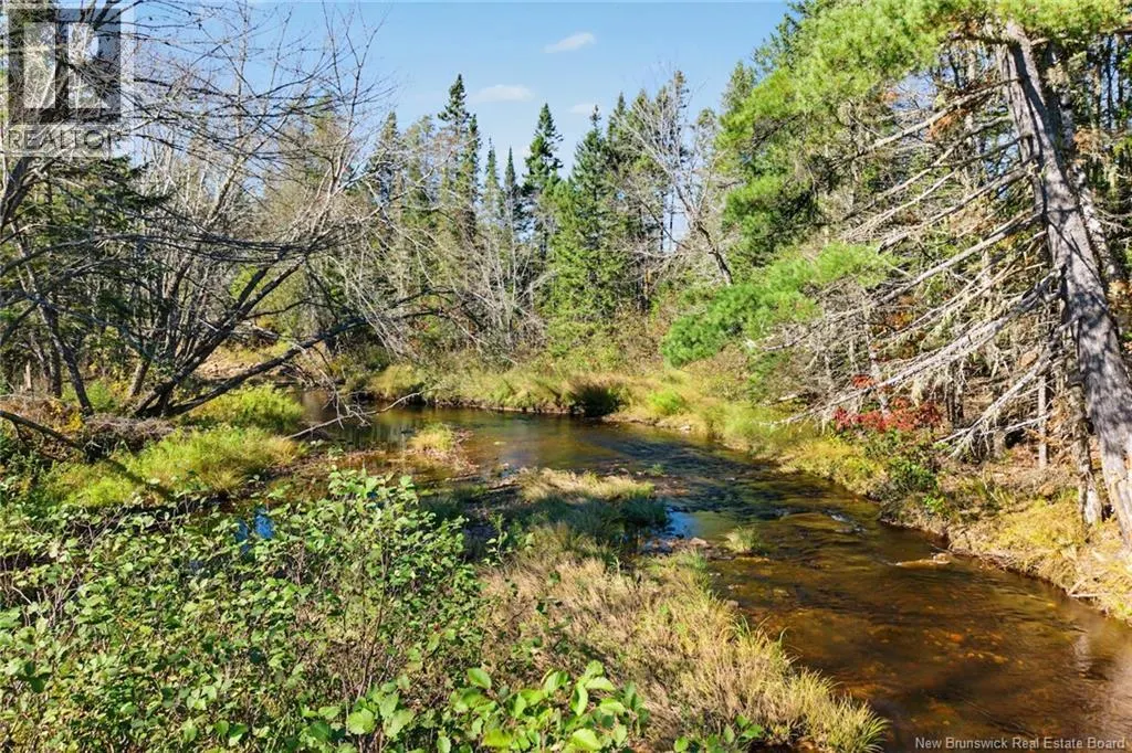 251 Cumberland Bay South RD