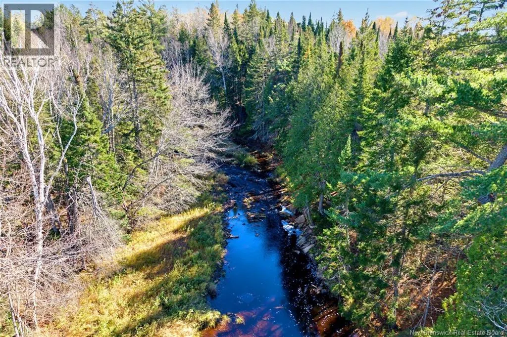 251 Cumberland Bay South RD