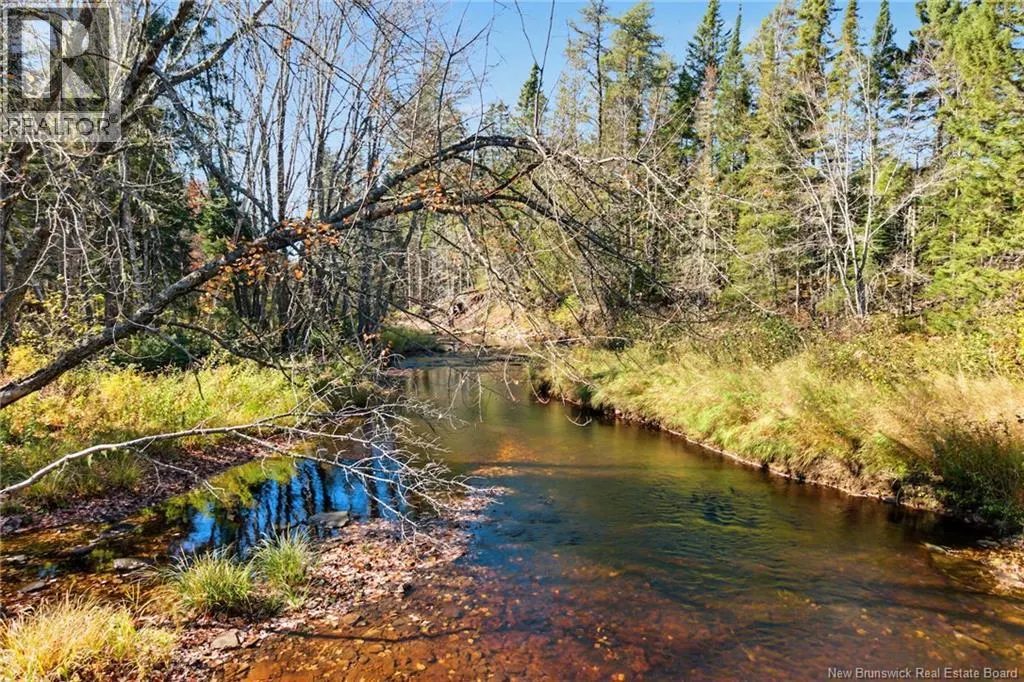 251 Cumberland Bay South RD