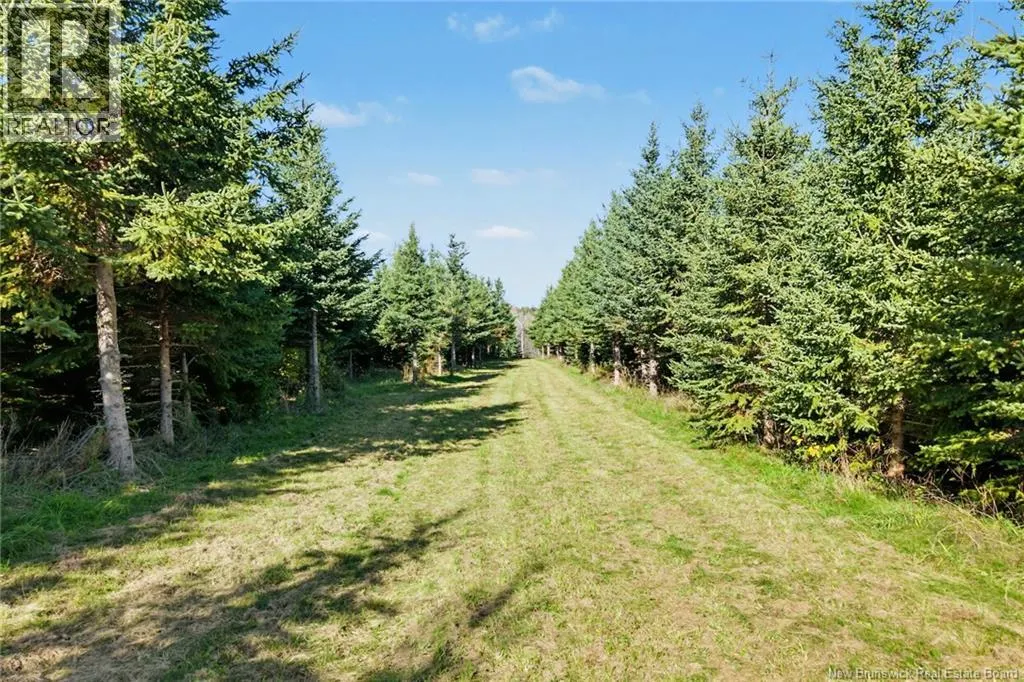251 Cumberland Bay South RD