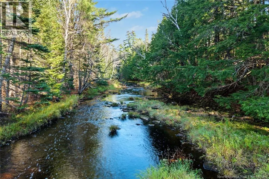 251 Cumberland Bay South RD
