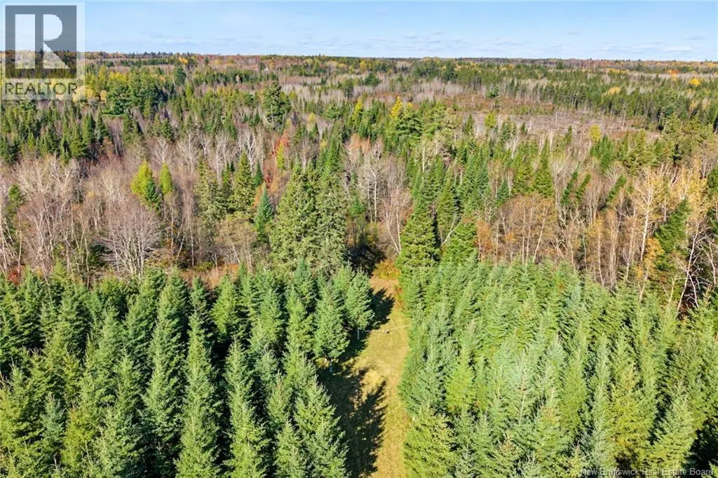 251 Cumberland Bay South RD