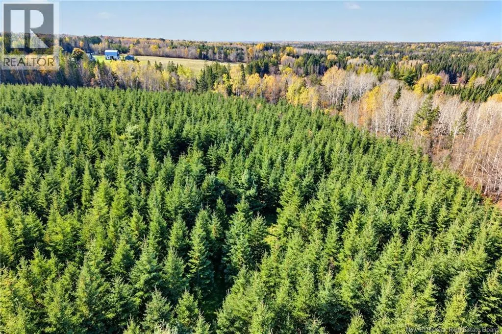 251 Cumberland Bay South RD