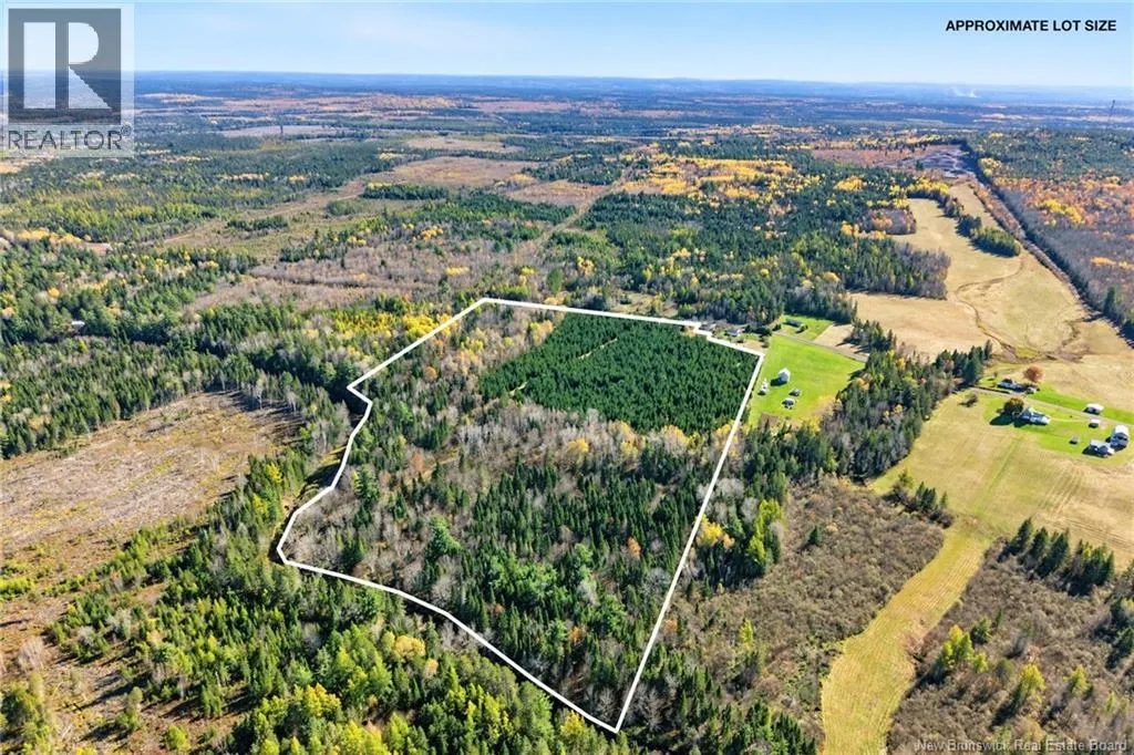 251 Cumberland Bay South RD