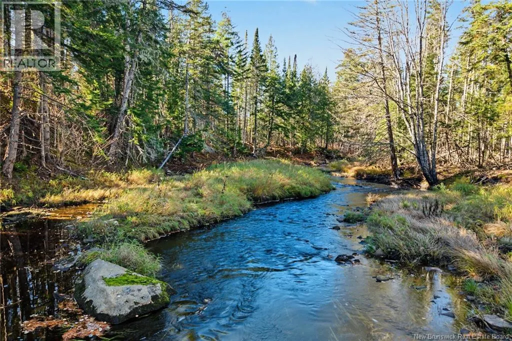 251 Cumberland Bay South RD