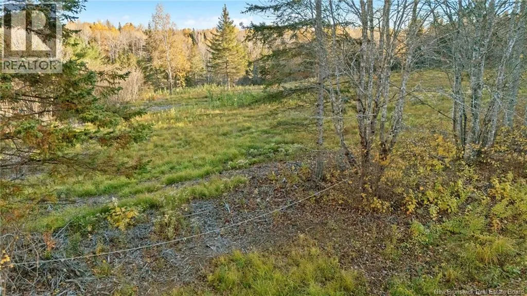 Riverfront Lot 4 Coates Mills North Road