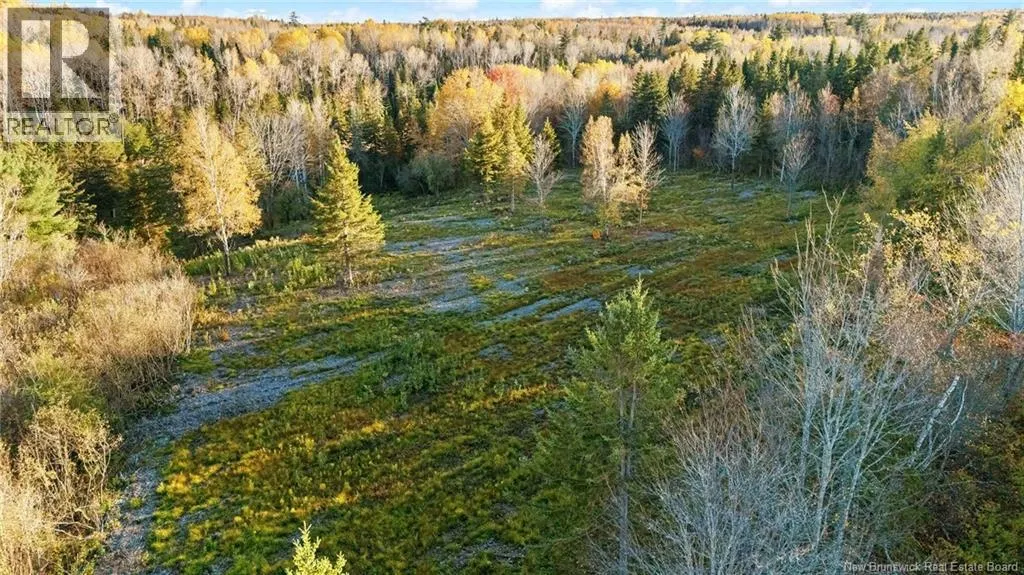 Riverfront Lot 4 Coates Mills North Road