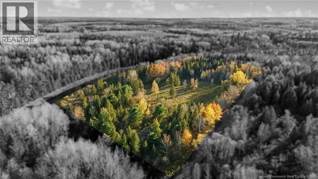 Riverfront Lot 4 Coates Mills North Road