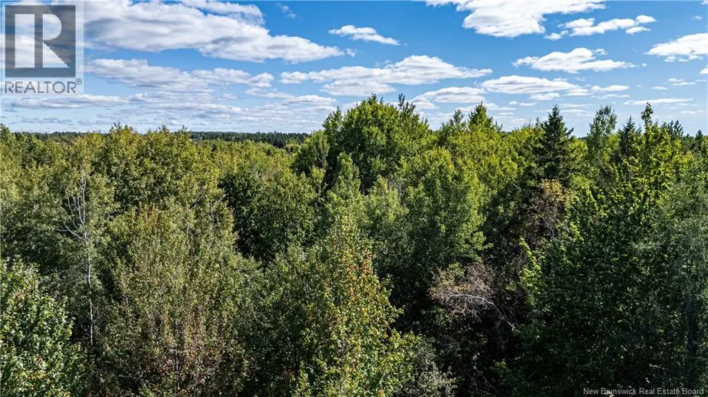 Lot 79-8 De La Traverse