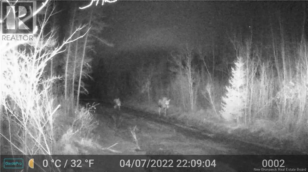 Lot 25-02 Route 490