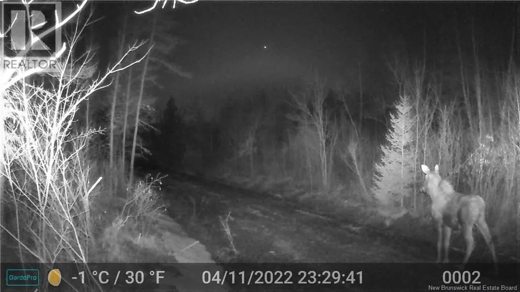 Lot 25-02 Route 490
