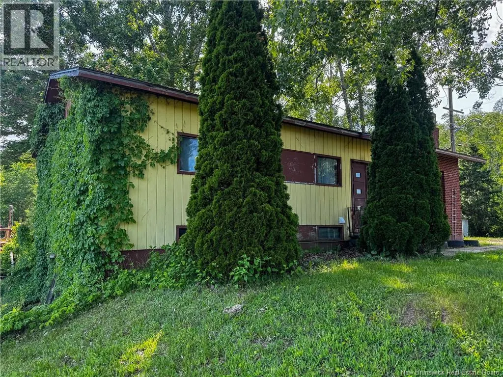 5 Green Belt