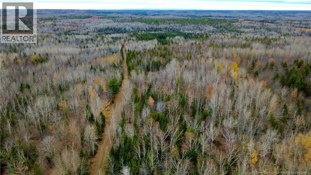 101 Acres Route 355